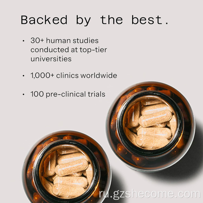 Грибные растительные экстракт добавки поддержки иммунного здоровья